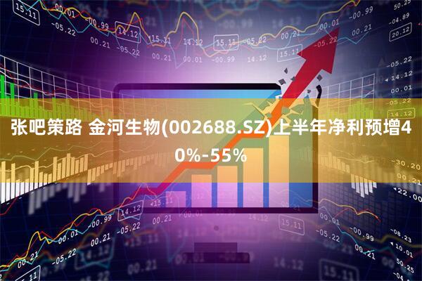 张吧策路 金河生物(002688.SZ)上半年净利预增40%-55%