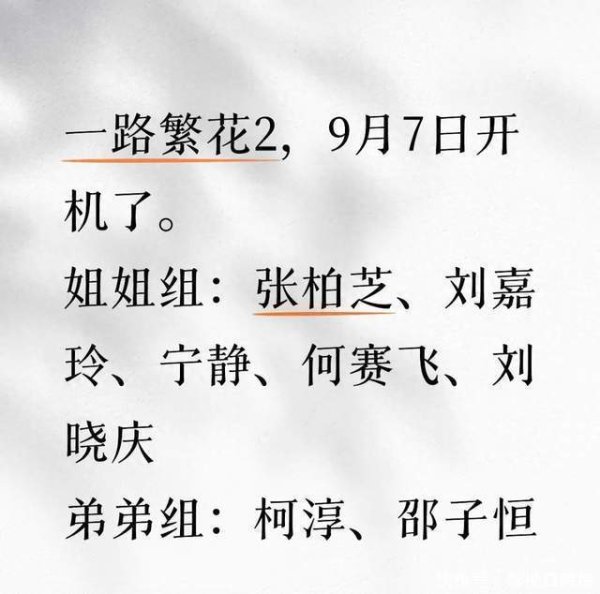 趣投顾 《一路繁花2》还没开播，张柏芝就赚足了眼球，扎着脏辫身材纤瘦