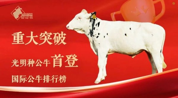 领牛策略 光明乳业2025半年报：核心指标稳中向好，全链创新构筑行业韧性壁垒