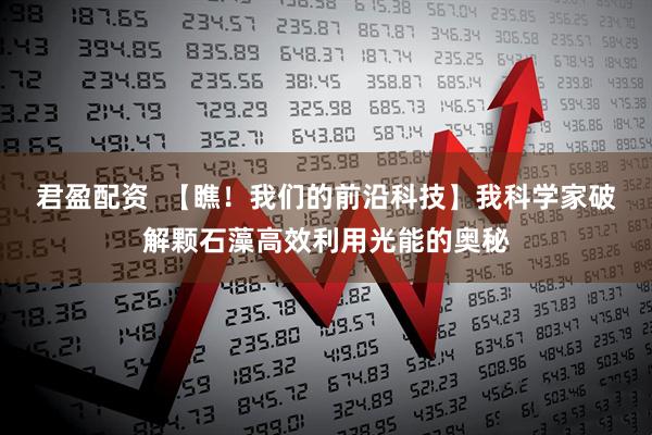 君盈配资  【瞧！我们的前沿科技】我科学家破解颗石藻高效利用光能的奥秘